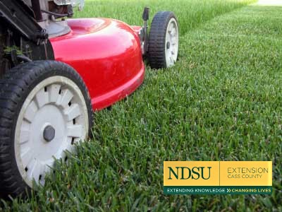 Mowing Height Affects Lawn Health